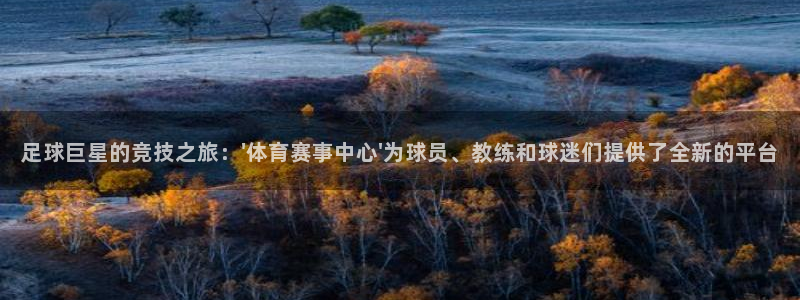 足球巨星的竞技之旅：\'体育赛事中心\'为球员、教练和球迷们提供了全新的平台