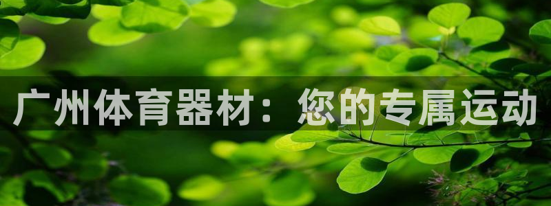 广州体育器材：您的专属运动