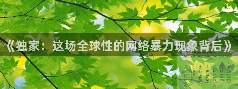 《独家：这场全球性的网络暴力现象背后》