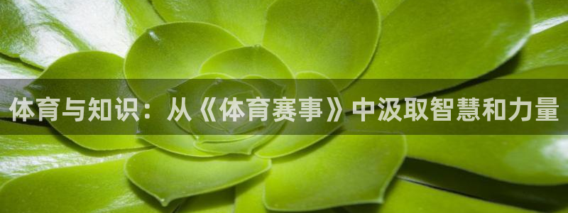 体育与知识：从《体育赛事》中汲取智慧和力量