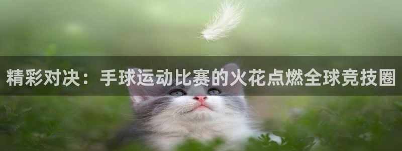 精彩对决：手球运动比赛的火花点燃全球竞技圈